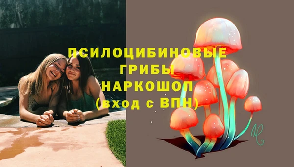 ALPHA PVP Алексин