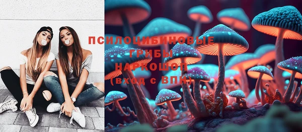 spice Алексеевка